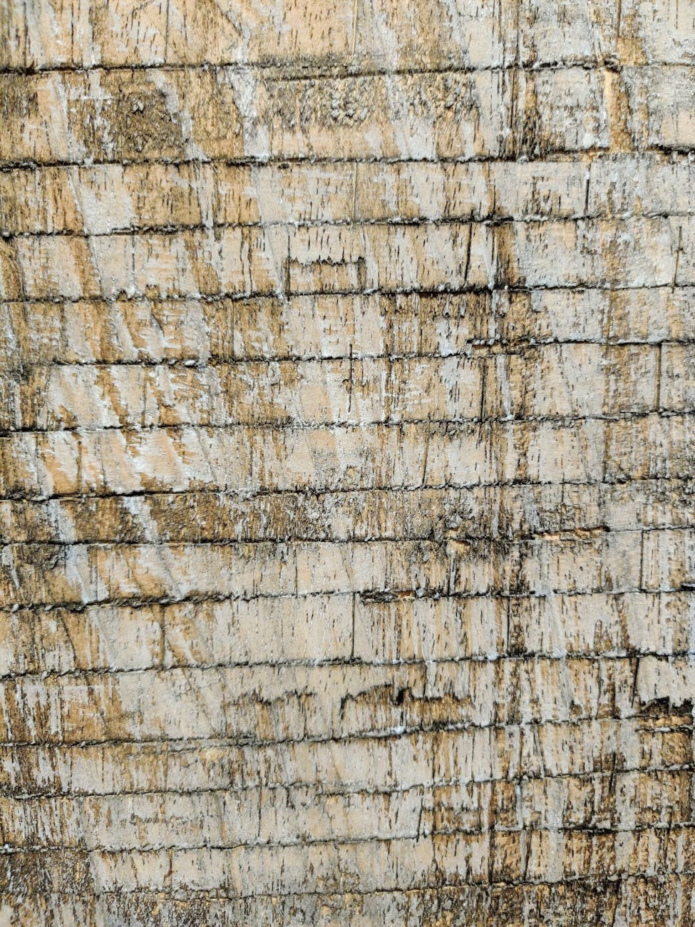 Worn threshold and doorway edge showing damage